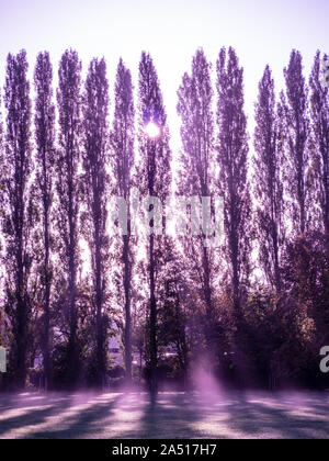Paysage d'automne, Christchurch Meadows, Caversham, Reading, Berkshire, Angleterre, RU, FR. Banque D'Images