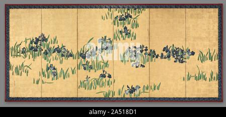 Iris, 1700. Le sujet de cette peinture vient d'un 10e siècle texte. C'est l'histoire d'un jeune seigneur&# x2019;s voyage dans la campagne solitaire, loin de la capitale Heian-kyo (Kyoto). Là, il est venu sur un petit ruisseau, les banques étaient couverts de fleurs de l'iris, sur lequel l'artiste a choisi de concentrer notre attention. Lors de l'affichage des belles fleurs du noble composé un poème : J'ai une épouse bien-aimée, bien que la jupe d'une robe bien usé, et ainsi de ce lointain voyage emplit mon cœur de douleur. Banque D'Images