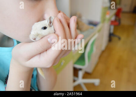 Bébé jouant avec un animal de petite souris, Little girl holding et les baisers animal. Soin des enfants sur les animaux de compagnie, l'amitié d'une adolescente et d'un hamster. Banque D'Images