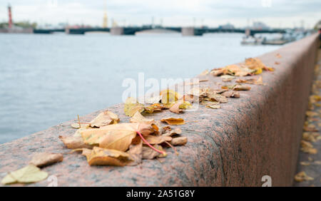 Paysage d'automne, les feuilles tombées sur le parapet du granit du fleuve Neva. St Petersburg . Banque D'Images