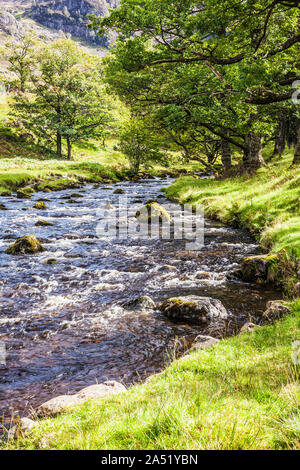 Watendlath Beck, dans le Parc National du Lake District, Cumbria. Banque D'Images