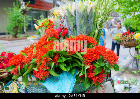 Marché aux fleurs sur le vélo sur la route du marché local à Hanoi VIETNAM VOVworld. composé de Lilly, White Rose, fleur spike, Marigold Banque D'Images