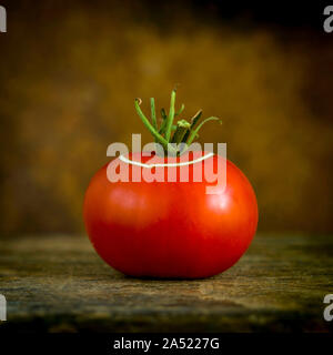 Gros plan d'une tomate rouge // France. Close-up d'une tomate rouge Banque D'Images