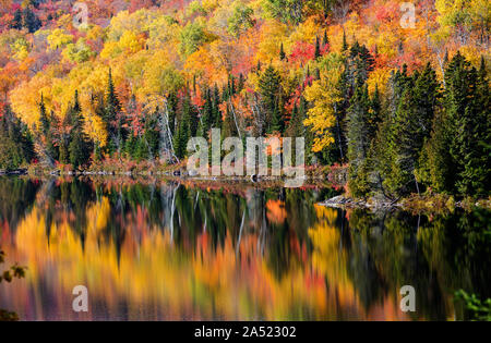 Paysage d'automne spectaculaire dans le Parc National de la Mauricie, Québec, Canada Banque D'Images