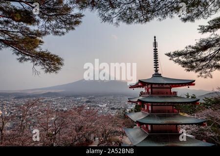 Coucher du soleil à Mt. Fuji avec quelques fleurs de cerisier Banque D'Images