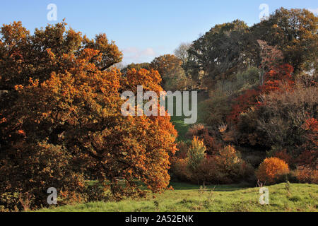 Automne couleur : Court et le flux de Lythe Oakhanger vallée, Selborne, Hampshire, UK : à partir de la partie supérieure de l'Église Meadow Banque D'Images