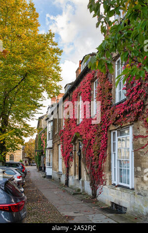 Du Parthenocissus tricuspidata. Le lierre de Boston sur une maison à l'automne à Woodstock, Oxfordshire, UK Banque D'Images
