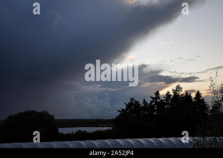 Tuesley ferme, Godalming. 17 octobre 2019. Une fin de tempête à la journée pour les Home Counties avec une douche à effet pluie et bourrasques soudaines. Une tempête coucher de soleil sur Tuesley ferme à Godalming, Surrey. Credit : james jagger/Alamy Live News Banque D'Images