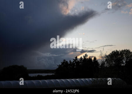 Tuesley ferme, Godalming. 17 octobre 2019. Une fin de tempête à la journée pour les Home Counties avec une douche à effet pluie et bourrasques soudaines. Une tempête coucher de soleil sur Tuesley ferme à Godalming, Surrey. Credit : james jagger/Alamy Live News Banque D'Images