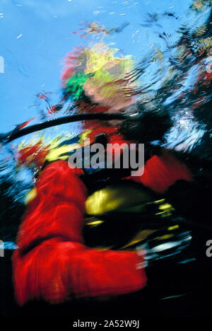 L'Égypte. Vue faible close up de scuba diver à partir de l'eau. Banque D'Images