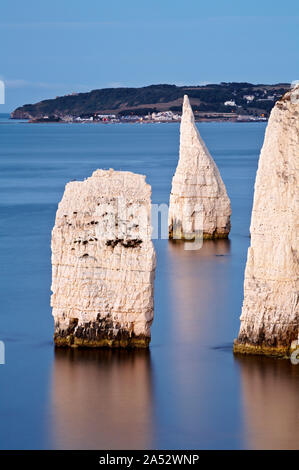 Les pinacles de Ballard, Swanage, Dorset, Angleterre Banque D'Images