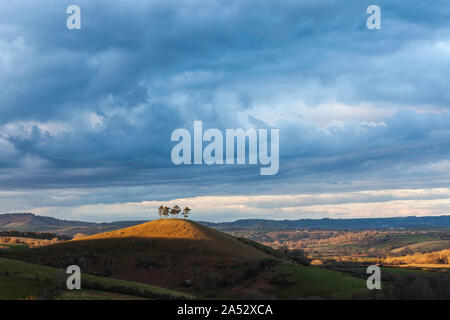 Colmer's Hill, Bridport, Dorset, Angleterre Banque D'Images