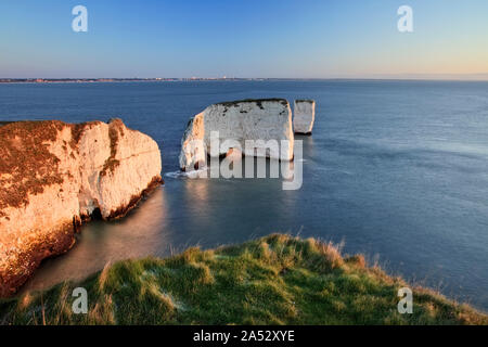 Les roches de Old Harry Ballard, Swanage, Dorset, Angleterre Banque D'Images