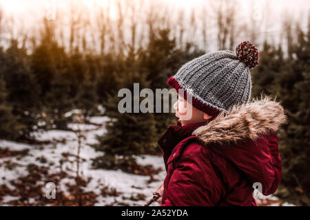 Petit garçon à la recherche de son arbre de Noël parfait par une journée d'hiver Banque D'Images