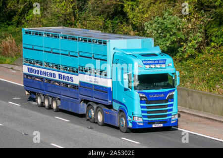 Woodhead Bros Meat Co. Industrie britannique de la viande ; camions de livraison d'animaux de transport de vrac lourd d'autoroute, transport de bétail, camion, transport, camion, cargaison spéciale, véhicule Scania, livraison, industrie du transport sur la M6 à Lancaster, Banque D'Images