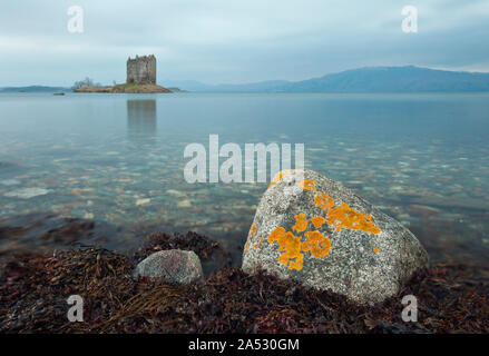 Château de Stalker sur un îlot de marée sur le Loch Laich, un bras sur le Loch Linnhe, Argyll, Scotland Banque D'Images