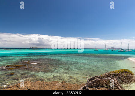 Saint Vincent et les Grenadines, Tobago Cays, Petit Tabac et des voiliers mooring Banque D'Images