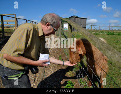 L'alimentation de l'homme une chèvre au Jimmy's Farm et Wildlife Park, Pannington Hall Lane, Ipswich, Royaume-Uni Banque D'Images