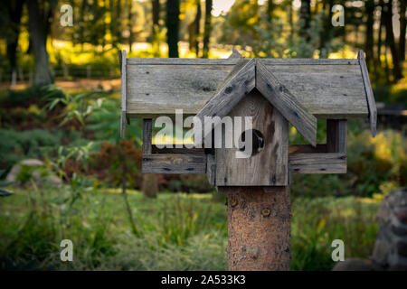 Mangeoire en bois avec l'arrière-plan flou de l'été. Banque D'Images