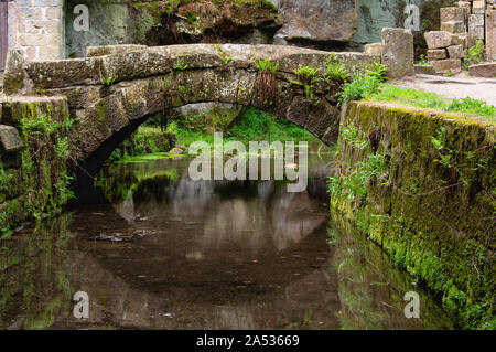 Envahi par la mousse pont sur le millrace dans les ruines de l'ancien moulin à eau à Dolny Mlyn dans le parc national de la Suisse tchèque Banque D'Images