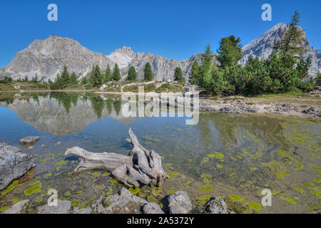 Lago di Limides, Cortina d'Ampezzo, Belluno, Vénétie, Dolomites, Italie, Europe Banque D'Images