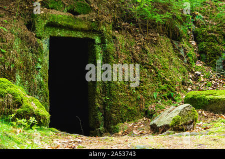 Envahi par la mousse sombre et mystérieux à l'entrée de la cave en pierre dans la forêt près de Dolny Mlyn dans le parc national de la Suisse tchèque Banque D'Images