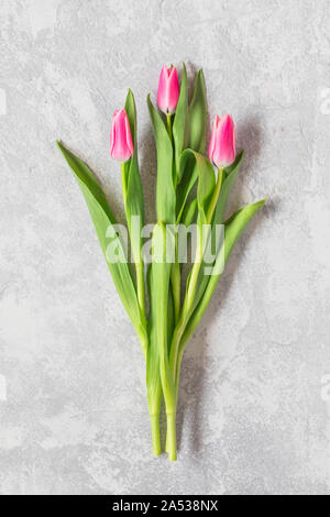 Un simple bouquet de tulipes avec trois fleurs roses sur fond gris, vu de dessus. Banque D'Images