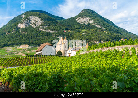 Château d'Aigle situé dans des collines de vignobles, canton de Vaud, Suisse Banque D'Images