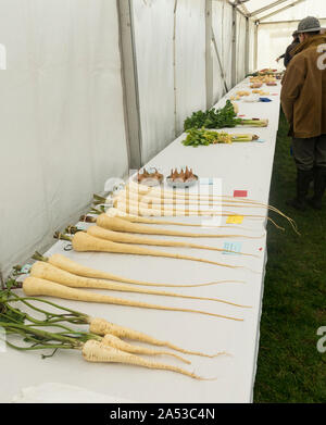 Spectacle Alwinton (Northumberland) 2019 - Gagnant du prix des légumes sur l'affichage Banque D'Images