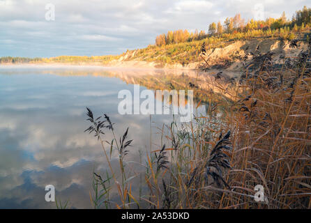 La rive du lac Misty le tôt le matin éclairé par le soleil . Paysage d'automne.Vsevolozhsk, dans la région de Leningrad. Banque D'Images