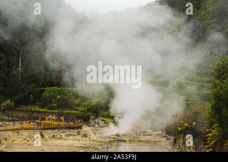 L'activité géothermique à Furnas village, Sao Miguel, Açores, Portugal Banque D'Images