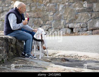 Un couple assis sur un mur et de manger une glace avec un chien par leur côté à Charlestown , Cornwall, UK Banque D'Images