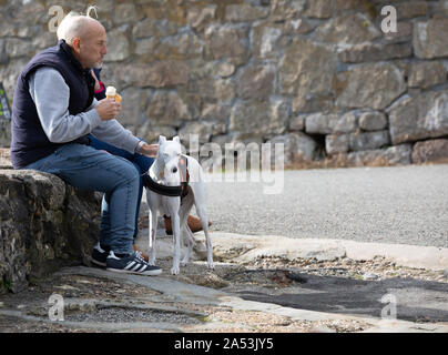 Un couple assis sur un mur et de manger une glace avec un chien par leur côté à Charlestown , Cornwall, UK Banque D'Images