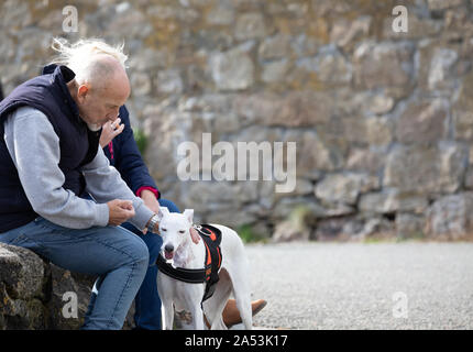 Un couple assis sur un mur et de manger une glace avec un chien par leur côté à Charlestown , Cornwall, UK Banque D'Images