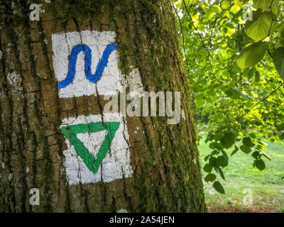 Sentier peint typiquement allemand marqueurs sur un arbre indiquant la direction de sentiers de randonnée Banque D'Images