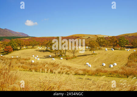 Senomoto Plateau en automne, Kumamoto Prefecture, Japan Banque D'Images