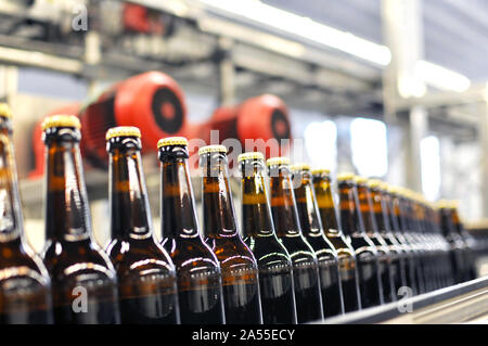 Les bouteilles de bière sur la chaîne de montage dans une brasserie moderne - industriels dans l'industrie alimentaire Banque D'Images