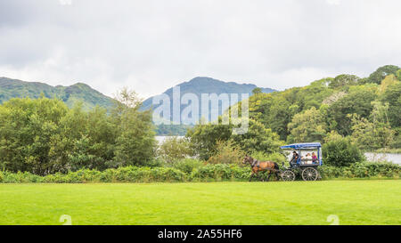 KILLARNEY, IRLANDE - août 13, 2019 : les touristes et une voiture jaunting traditionnels explorer le Parc National de Killarney, dans le comté de Kerry, Irlande. Banque D'Images
