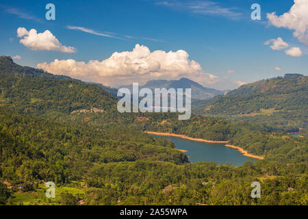 La plantation de thé collines près de Nuwara Eliya, Sri Lanka Banque D'Images