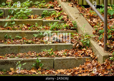 Escalier public avec garde-corps en acier en automne couverte de feuilles mortes et de plantes poussant hors de l'escalier. Vu en Allemagne en octobre. Banque D'Images