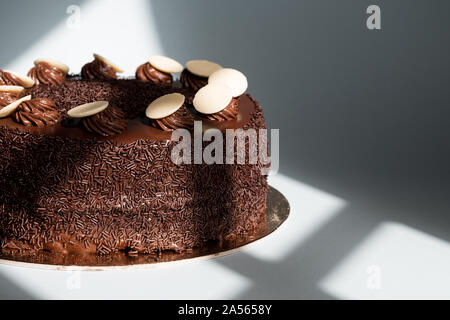 Gâteau au chocolat de brigade, un célèbre désert brésilien prêt à manger. Banque D'Images