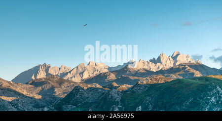 09/10-18, Asturias, Espagne. Un vautour planeur sur une vallée dans la chaîne de montagnes Picos de Europa. Banque D'Images