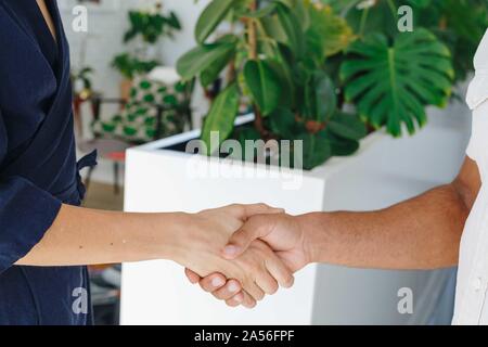 Businessman and businesswoman shaking hands in office Banque D'Images