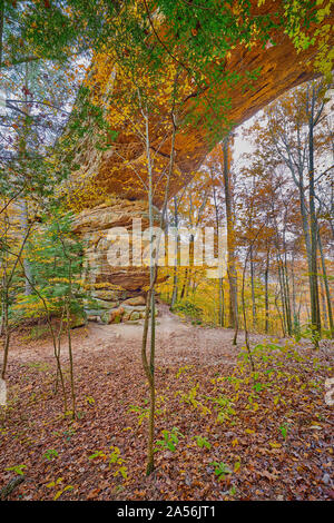 Sentier des Arches lits jumeaux, l'Arch à Big South Fork River National Recreation Area et, TN. Banque D'Images