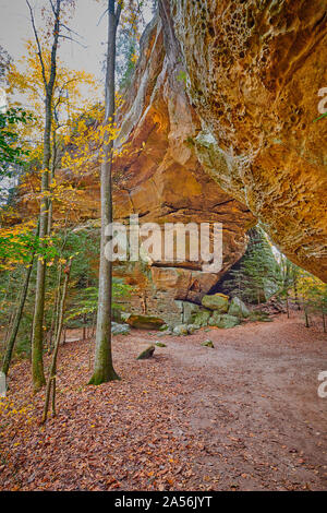 Sentier des Arches 1, North Arch à Big South Fork River National Recreation Area et, TN. Banque D'Images