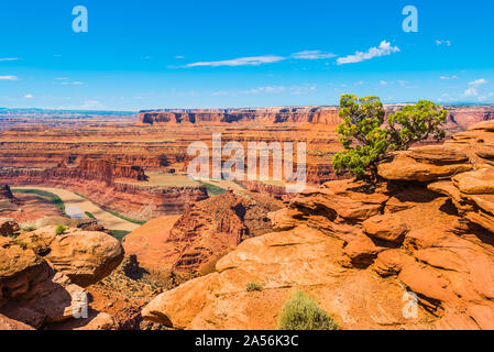 Dead Horse Point State Park . Banque D'Images