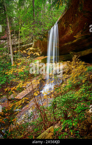 Van Hook Falls, Daniel Boone National Forest, KY. Banque D'Images