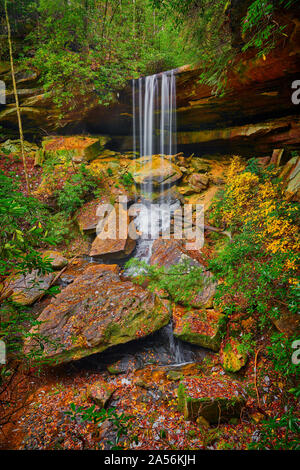 Van Hook Falls, Daniel Boone National Forest, KY. Banque D'Images