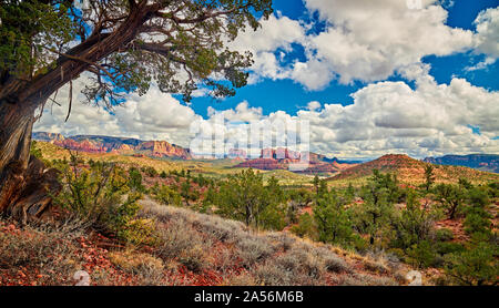 Paysage des roches rouges de Sedona, Arizona. Banque D'Images