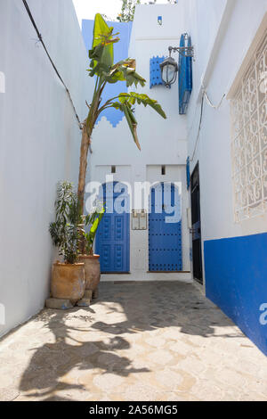 Paire de portes en bois peint en bleu dans une ruelle dans la médina d'Asilah, Maroc Banque D'Images